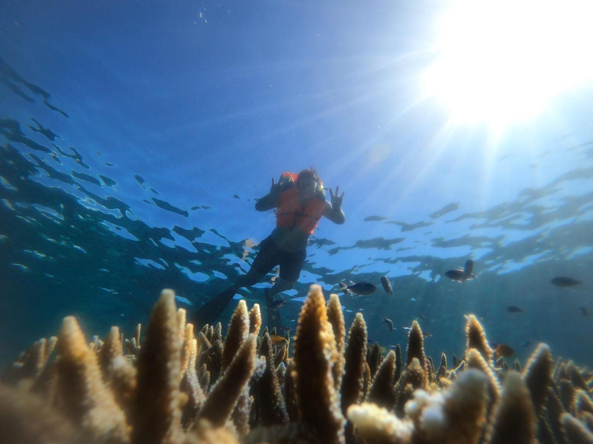 Natuna Dive Resort Ранай Екстер'єр фото